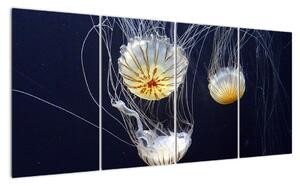 Obraz - medúzy (160x80cm)