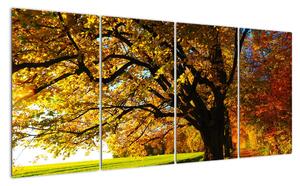 Obraz podzimní krajiny (160x80cm)