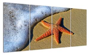 Obraz s mořskou hvězdou (160x80cm)