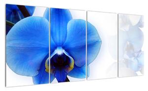 Obraz s orchidejí (160x80cm)