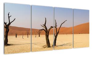 Obraz pouště (160x80cm)