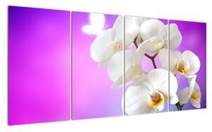 Obraz s orchidejí (160x80cm)
