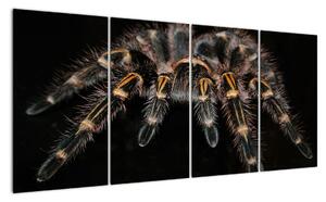 Obraz tarantule (160x80cm)