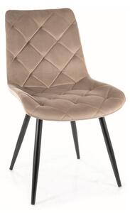 Designová jídelní židle Ralph velvet Barva: Béžová