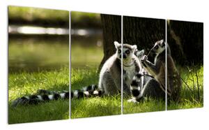 Obraz lemurů (160x80cm)