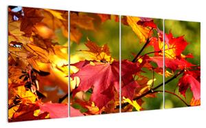Podzimní listí, obraz (160x80cm)