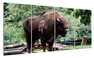 Obraz s americkým bizonem (160x80cm)