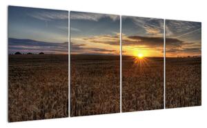 Západ slunce na poli - obraz na stěnu (160x80cm)
