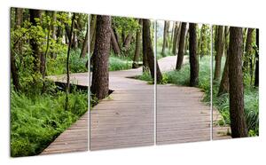 Cesta v lese - obraz (160x80cm)
