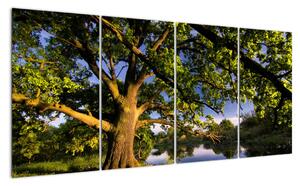 Obraz stromu (160x80cm)