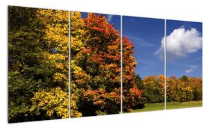 Podzimní stromy - obraz do bytu (160x80cm)