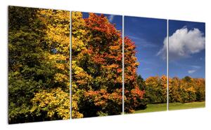 Podzimní stromy - moderní obraz (160x80cm)