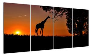 Obraz žirafy v přírodě (160x80cm)