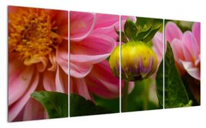 Obraz květu rostliny (160x80cm)