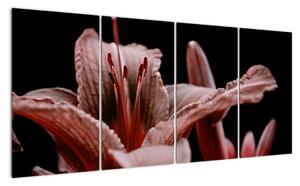 Detail květiny - obraz (160x80cm)