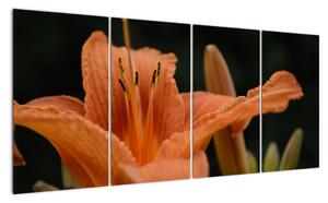 Obraz květiny (160x80cm)