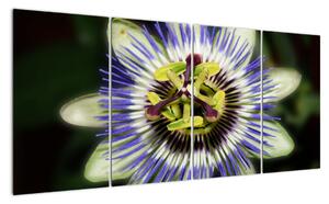Obrazy květin (160x80cm)