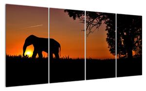 Obraz slona v přírodě (160x80cm)