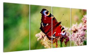 Motýl - obraz (160x80cm)