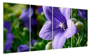 Květiny - obraz (160x80cm)