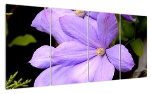 Obraz květu (160x80cm)