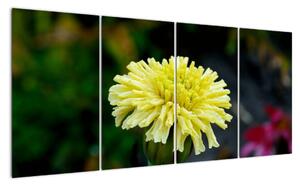 Obrazy květiny (160x80cm)