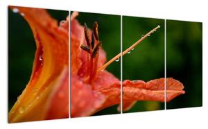 Obrázek květiny (160x80cm)
