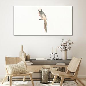 Obraz na skle Obraz na skle Kreslení zvířecí pták papoušek
