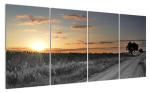 Západ slunce - obraz (160x80cm)