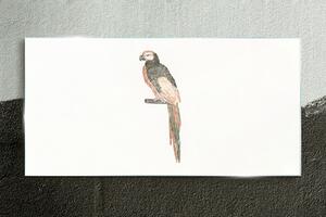 Obraz na skle Obraz na skle Kreslení zvířecí pták papoušek
