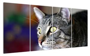 Kočka - obraz (160x80cm)