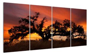 Strom v krajině - obraz (160x80cm)