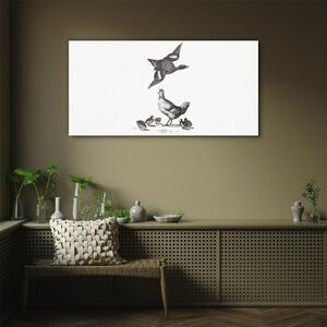 Obraz na skle Obraz na skle Kreslení zvířat ptáků