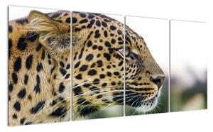 Leopard - obraz (160x80cm)