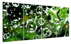 Kapky vody - obrazy (160x80cm)