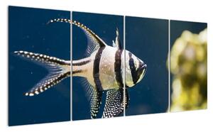 Ryba - obraz (160x80cm)