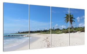 Exotická pláž - obraz (160x80cm)
