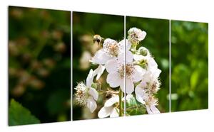Květina - obraz (160x80cm)