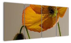 Žlutá květina - obraz (160x80cm)