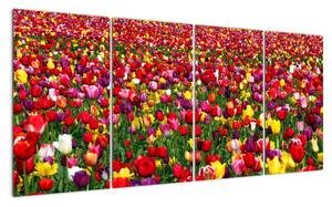 Obraz tulipánů (160x80cm)