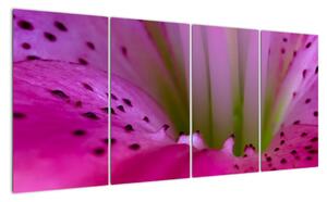 Detail květu - moderní obraz (160x80cm)