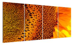 Detail slunečnice - obraz (160x80cm)