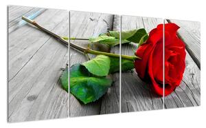 Růže červená - obraz (160x80cm)