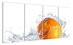 Obraz pomeranče (160x80cm)