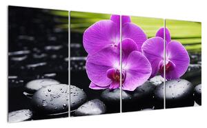 Obraz - orchidej (160x80cm)