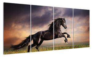Kůň - obraz (160x80cm)