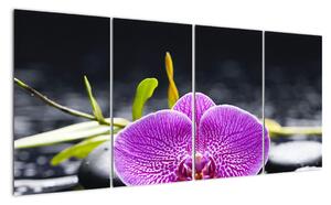 Květ orchideje - obraz (160x80cm)