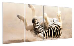 Obraz zebry (160x80cm)