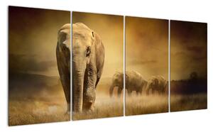 Obraz slona (160x80cm)