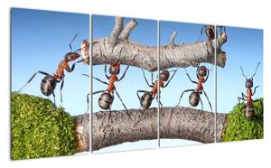 Obraz mravenců (160x80cm)